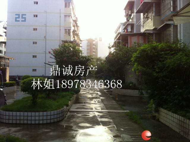 ��������С����06���ֽ�����106ƽ3��2��1�����ƽ���¥����װ�ޡ�65��