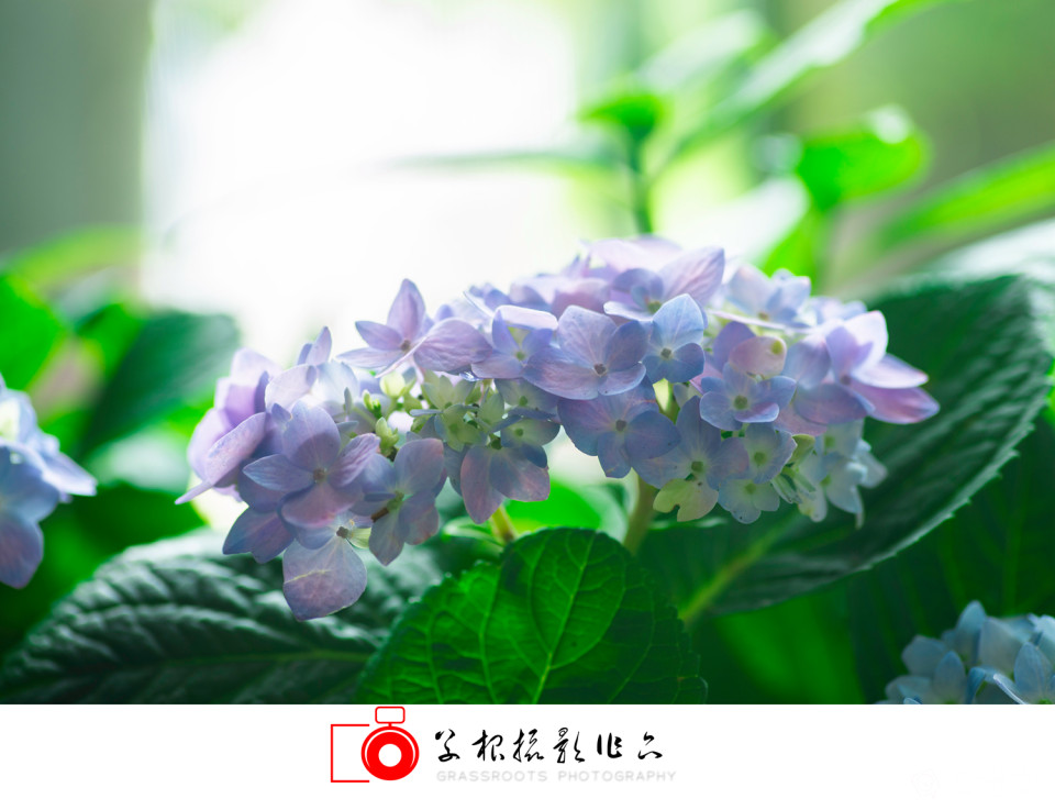 _DSC7806 拷贝_副本.jpg