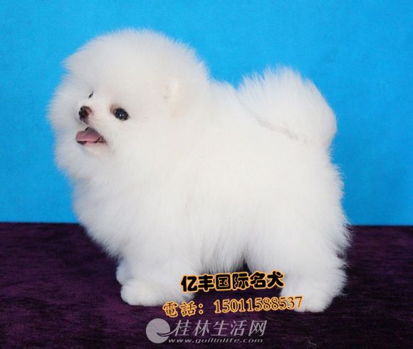 �������� ���ֲ��������� �ڷ�Ȯ��ֱ��