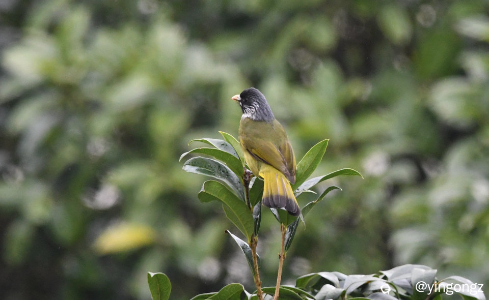 DSC_5277_副本.jpg