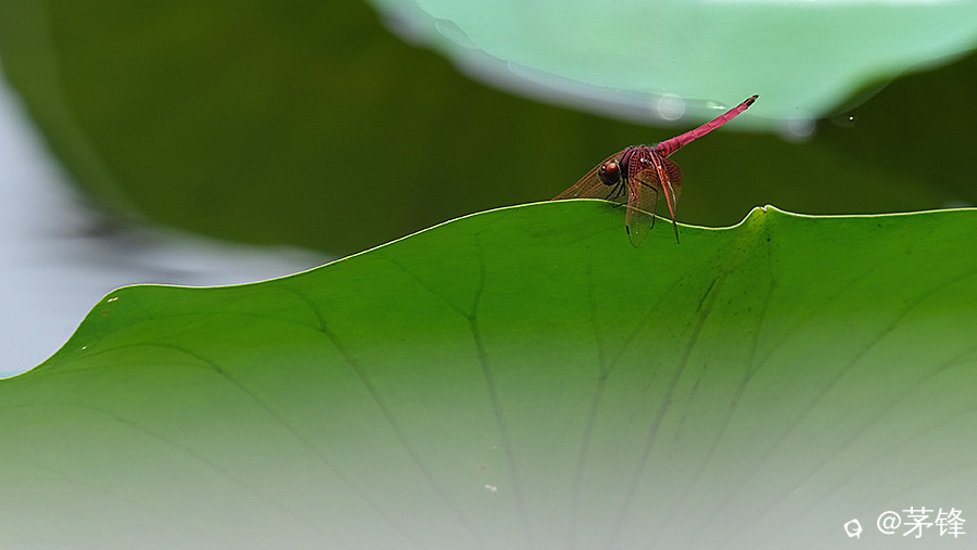 3-DSCF7881-2.jpg