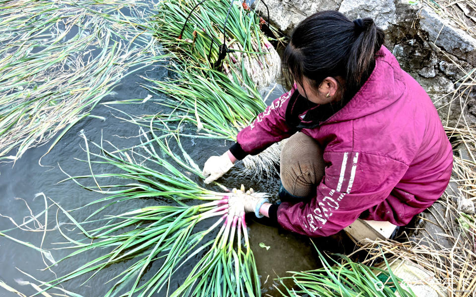 IMG_20260112_155729.jpg