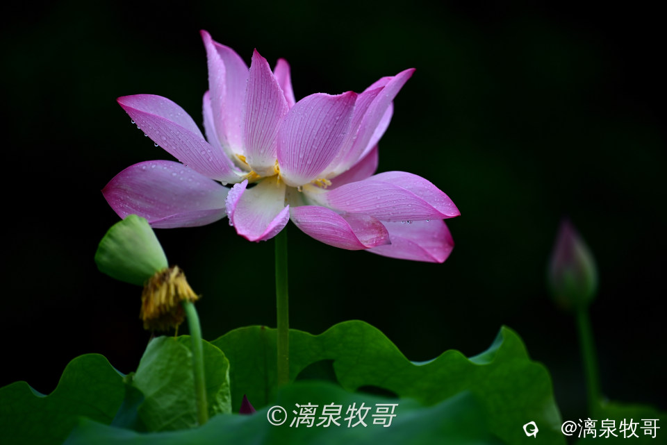 老中青三代同堂