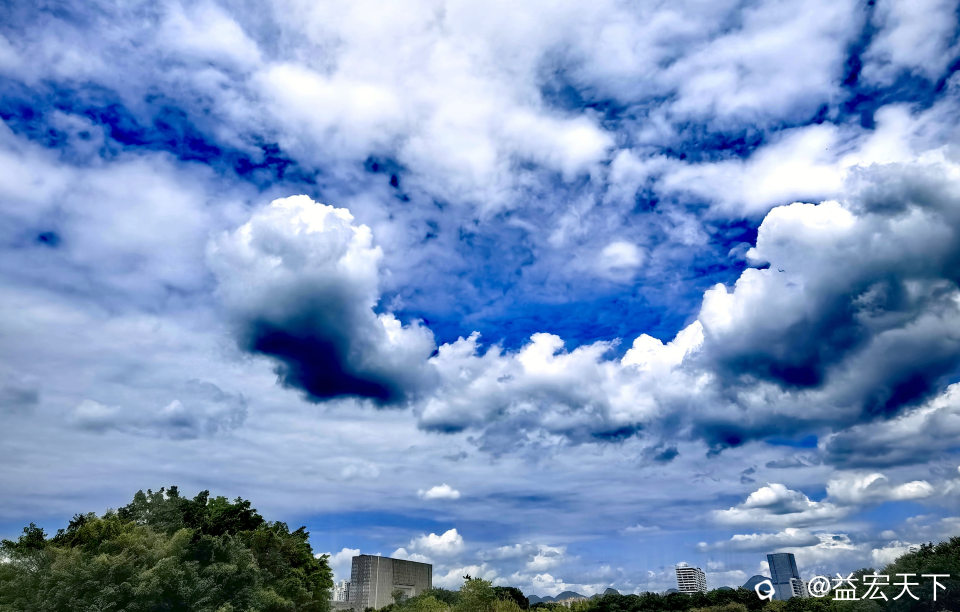 IMG_20260814_150129.jpg