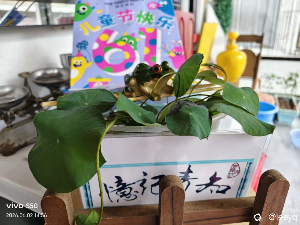 微信图片_20260602163942_152_117.jpg
