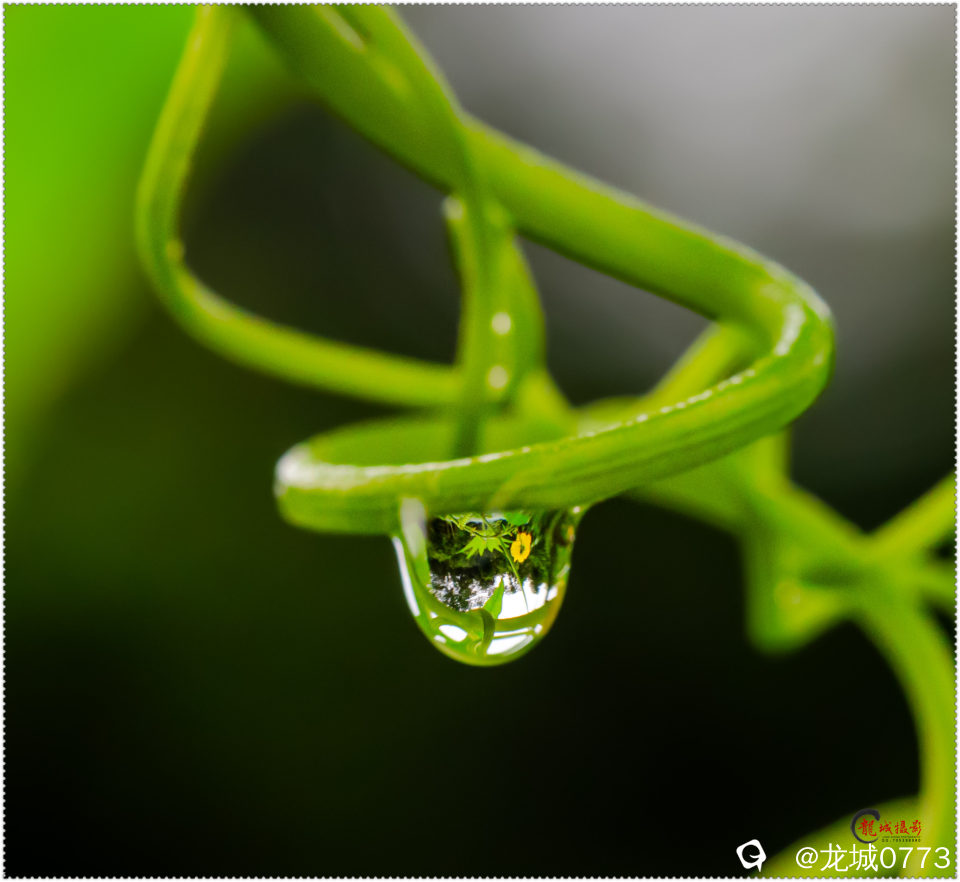 1X4A5390-p.jpg