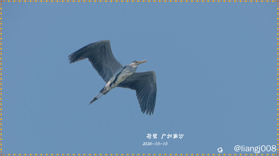 DSC01543_副本.jpg