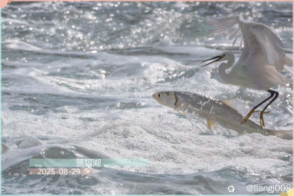 DSC01243_副本.jpg