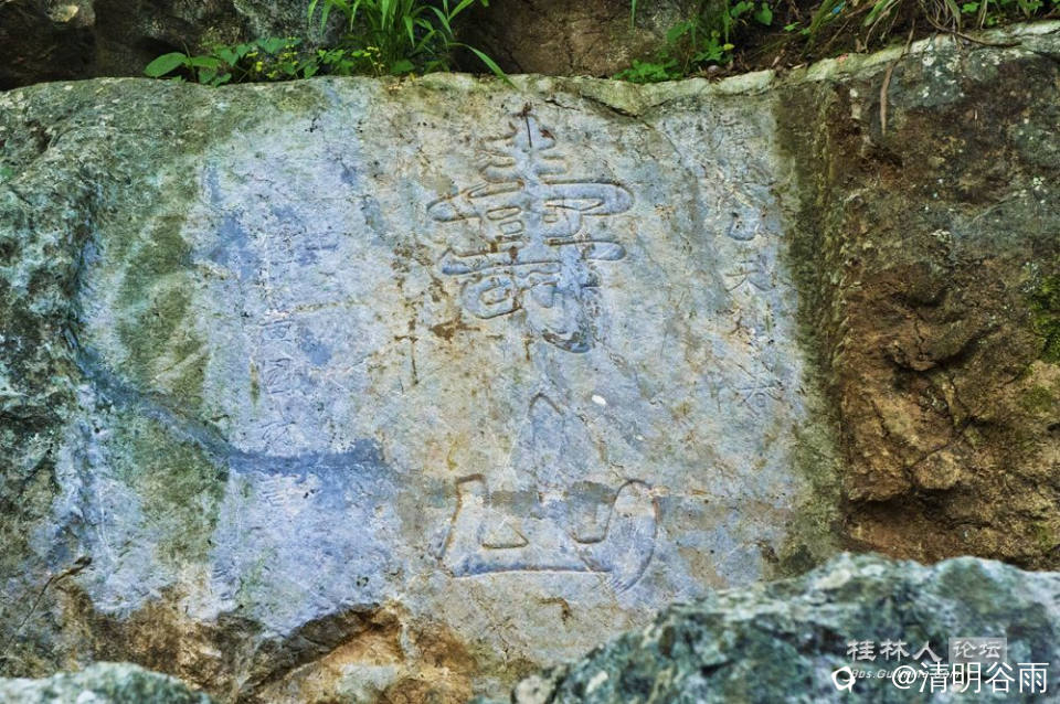 DSC_9844.jpg