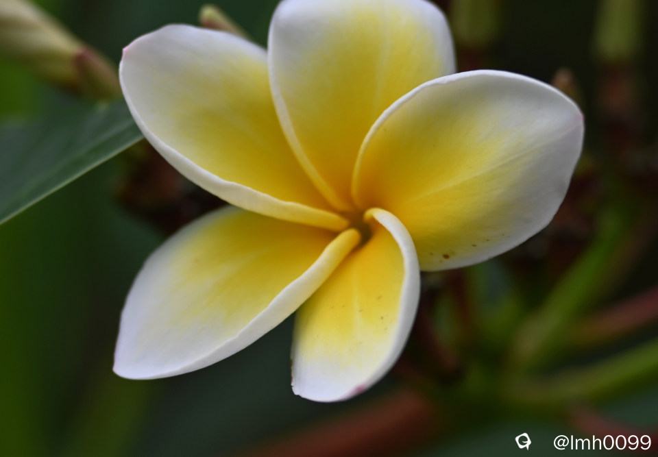 DSC_7787_副本.jpg