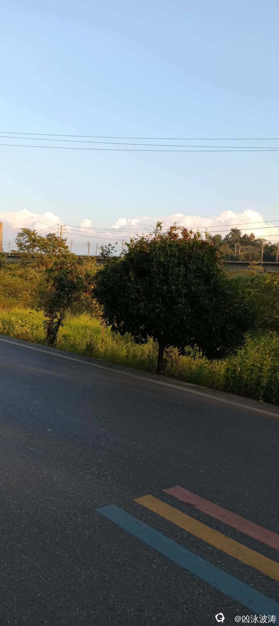 702a9fd8-2a69-73ed-8c05-67c570359de2.jpg