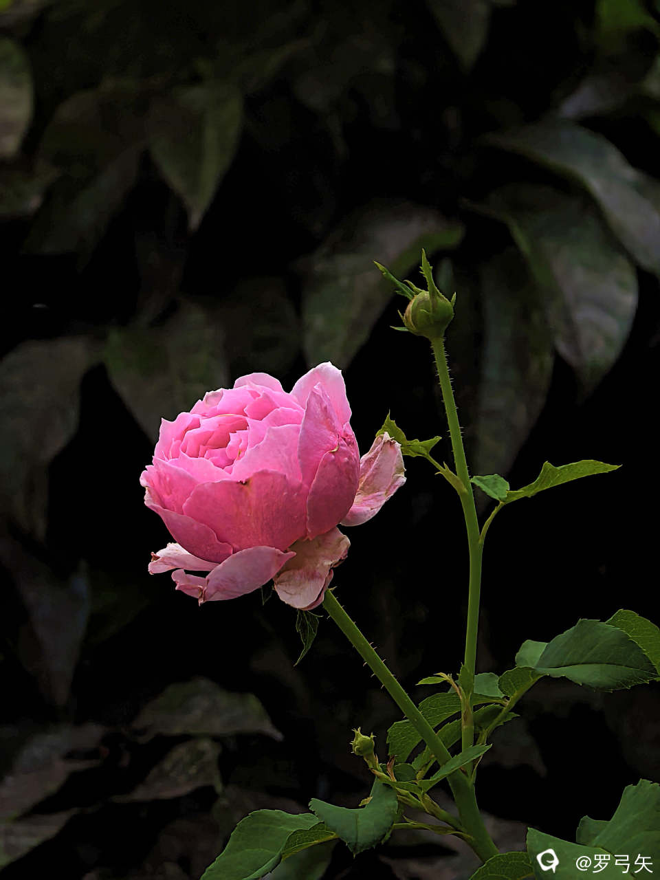 74b52faf-2d86-f8ac-abd6-093b9d542714.jpg