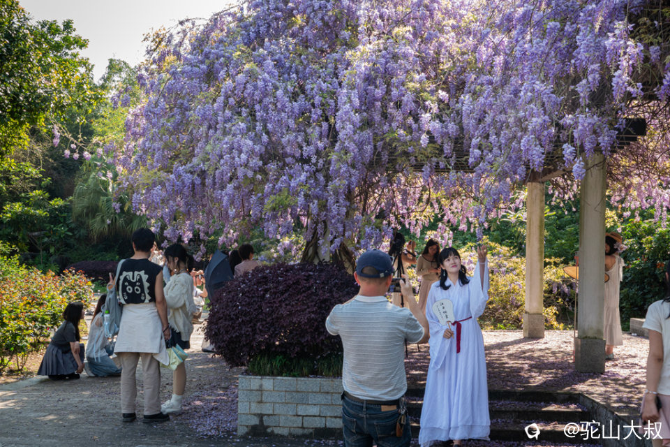 DSC01591-0 - 副本.jpg