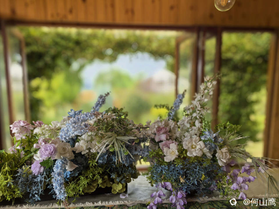 d2207d3e-171b-3a3b-c4eb-d4909ec8ef69.jpg