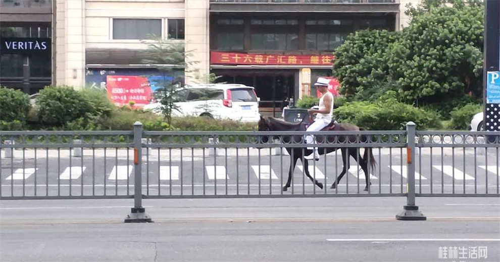 桂林街頭“騎馬”出行