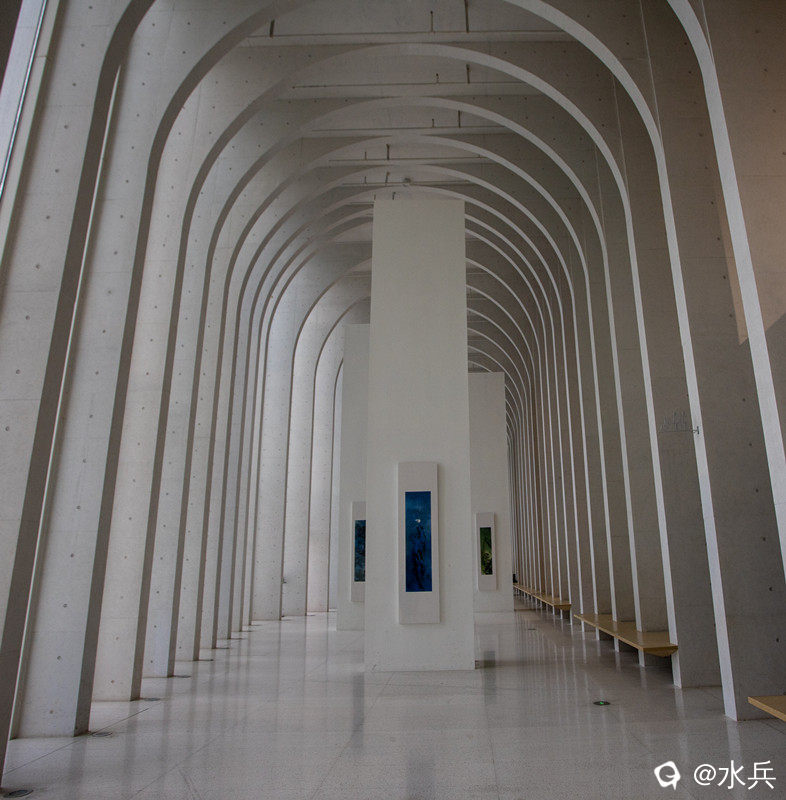 IMG_6700 拷贝.jpg