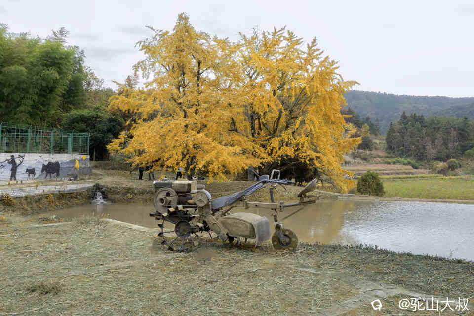 DSC04228-0 - 副本.jpg