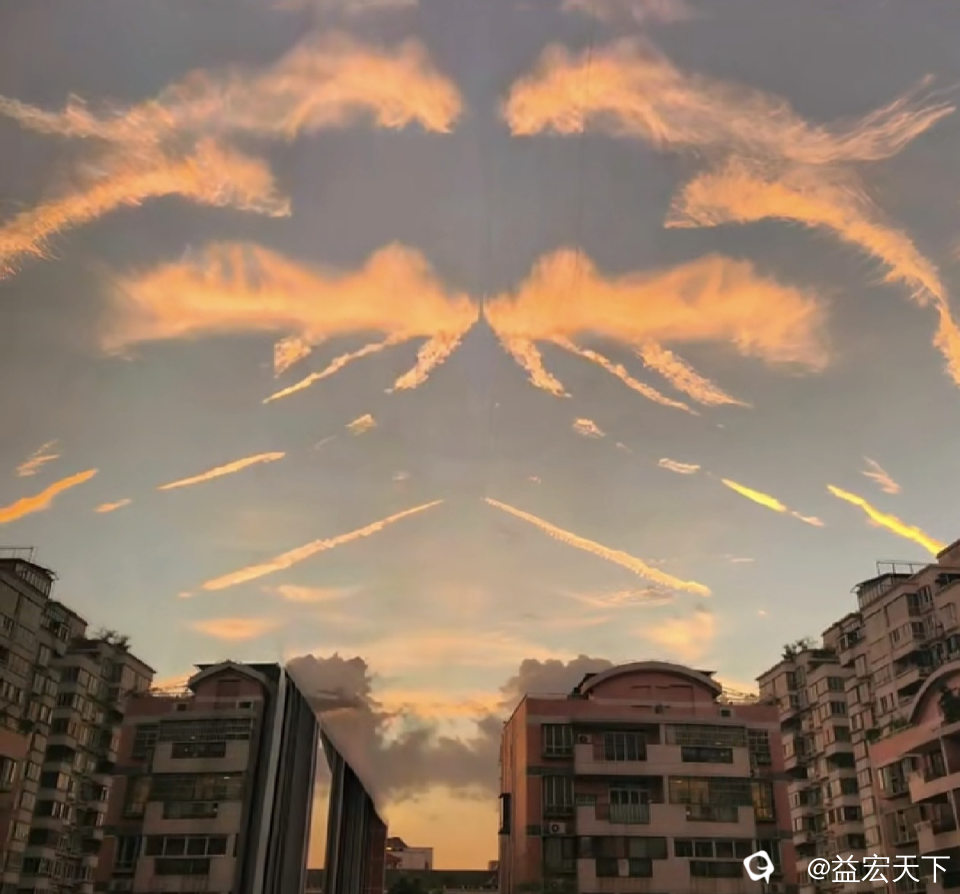 此图来自视频号—青照晴天网友的截图图片
