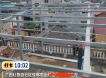 е纸ߺŶ