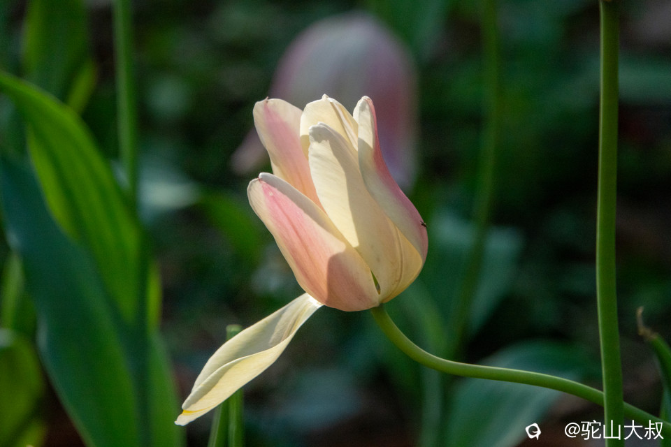 DSC00540-0 - 副本.jpg