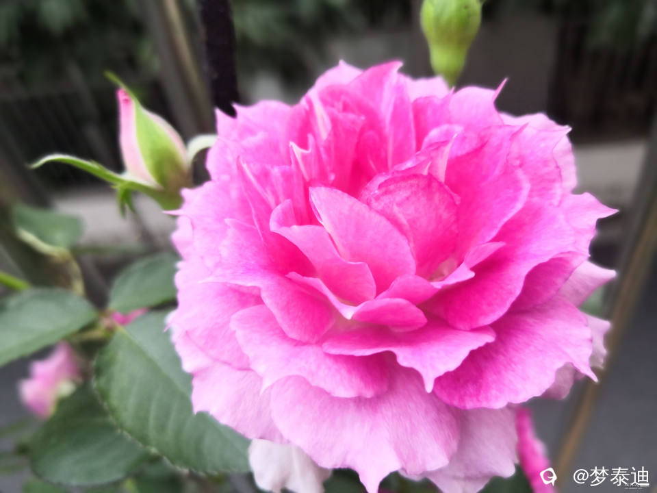 IMG_20240415_182257_副本.jpg
