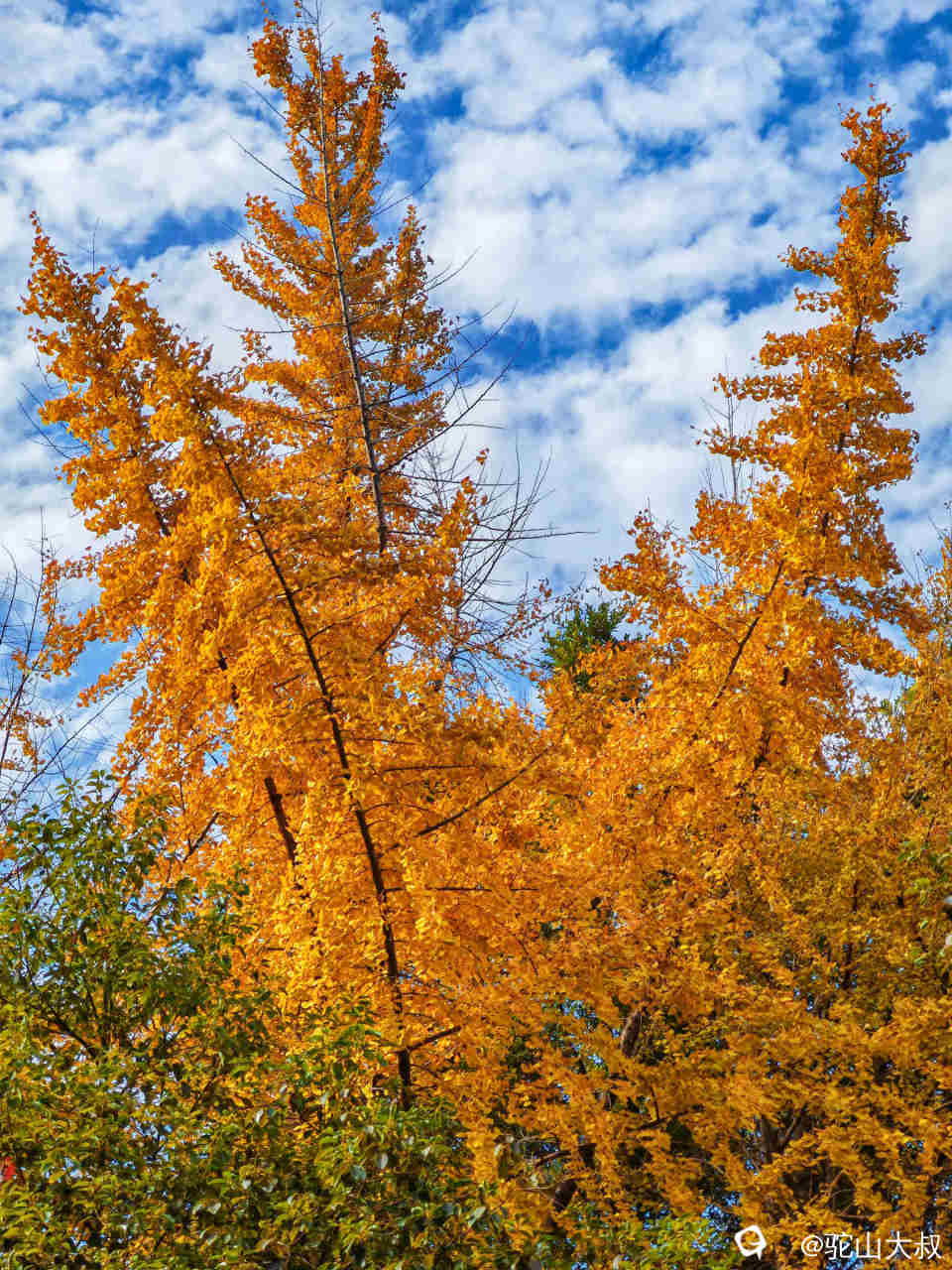 IMG_142227 - 副本.jpg