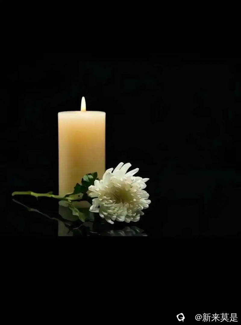 u=928732092,2725102887&fm=253&app=138&f=JPEG.jpg