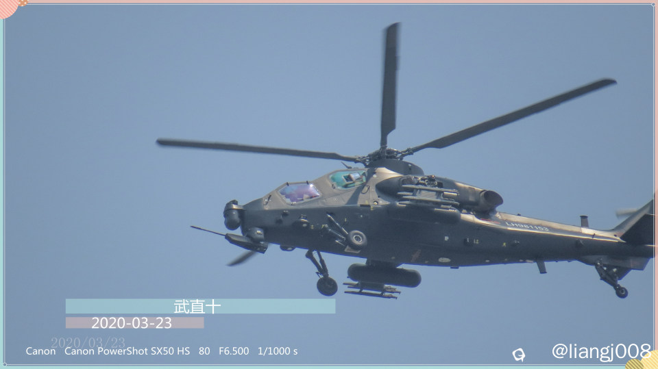 都飞到头顶来了  要拍一张