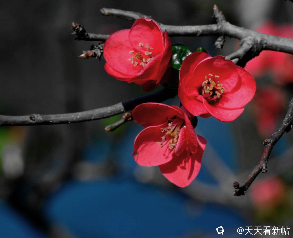 DSCF2285_副本.jpg