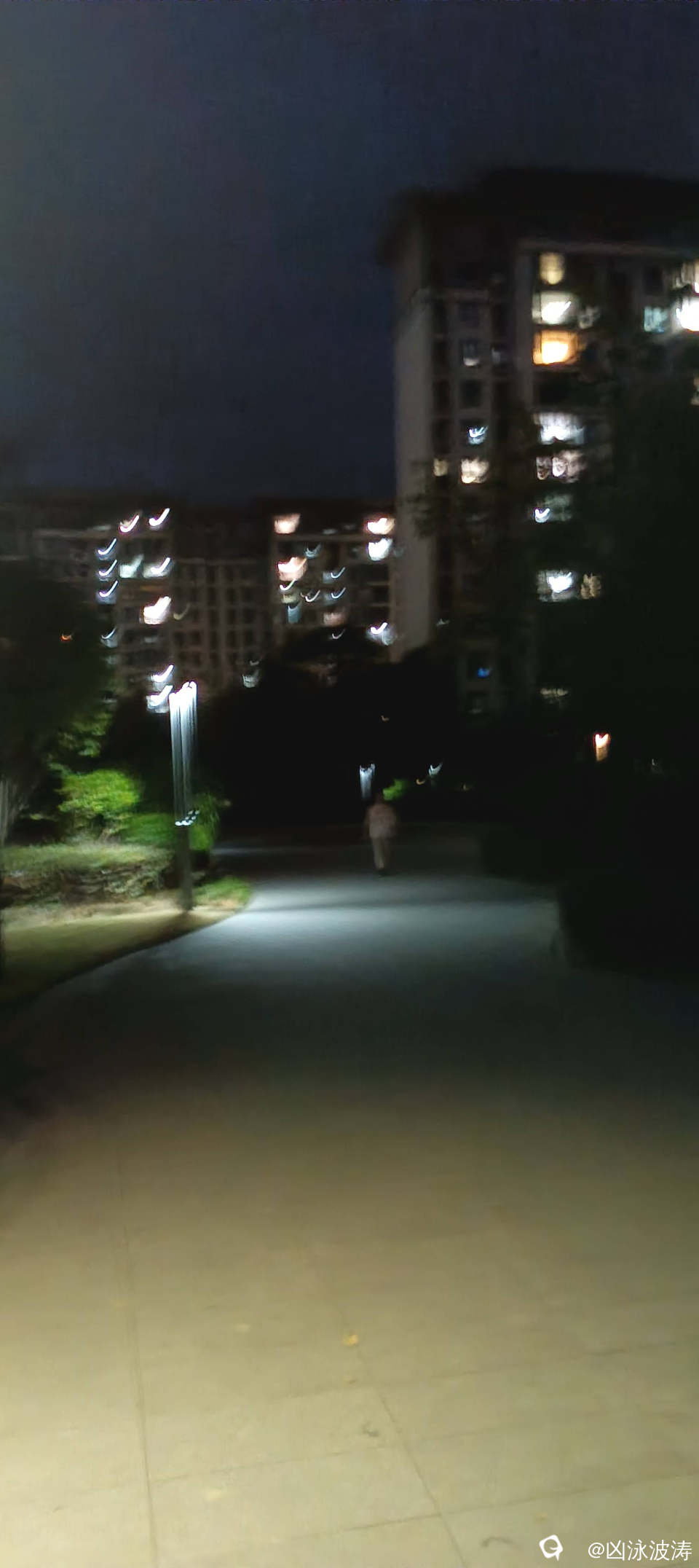 d2522ae9-da8f-1b82-598d-2b8242f8985b.jpg