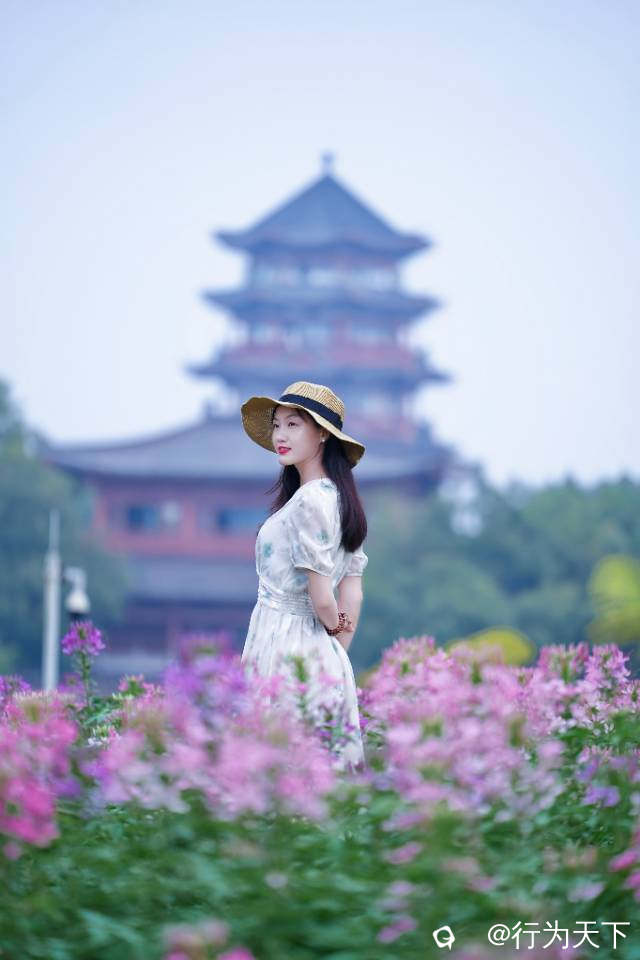 41ec8036-6b2e-4bb8-f367-825472c64a6a.jpg