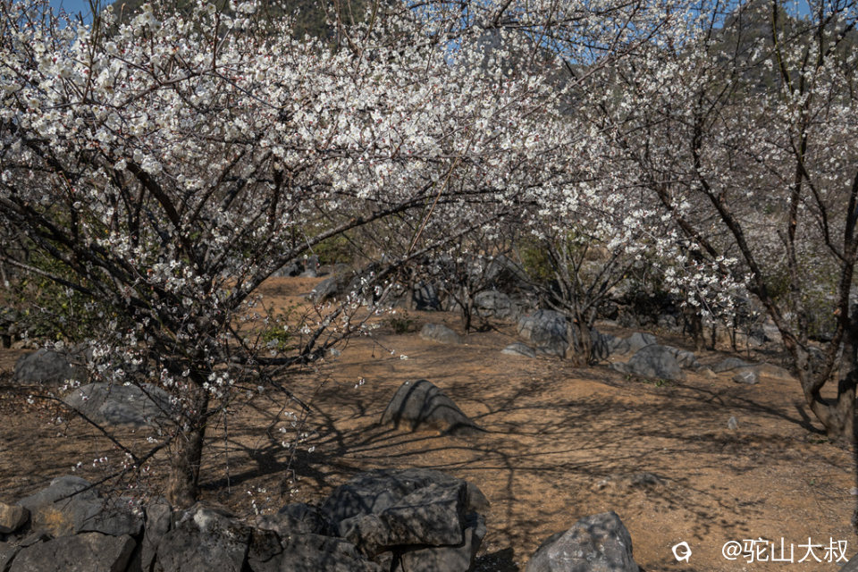 DSC04867-0 - 副本.jpg