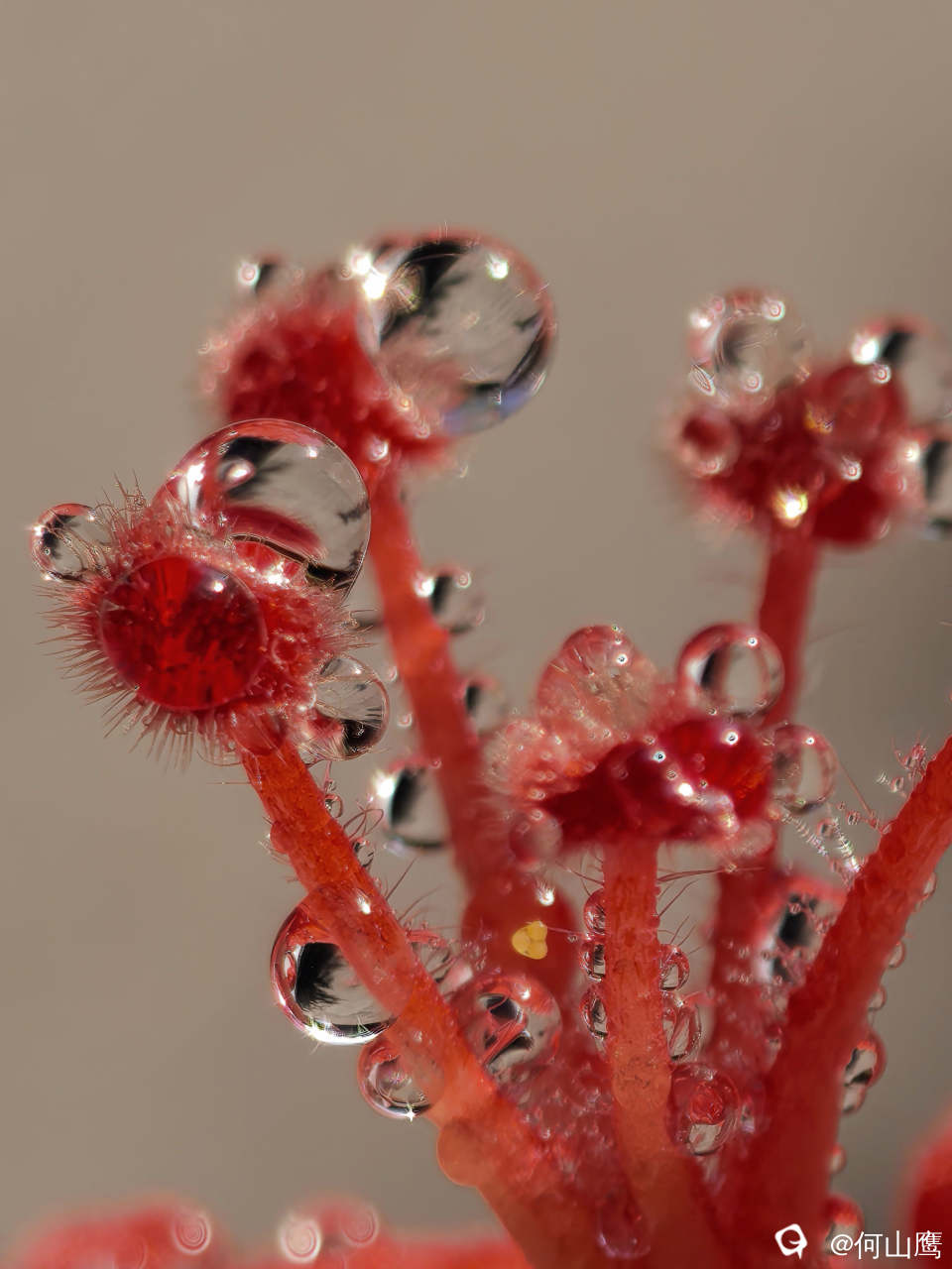 a92eacc4-1038-ef6c-4274-c7fb49a643a8.jpg