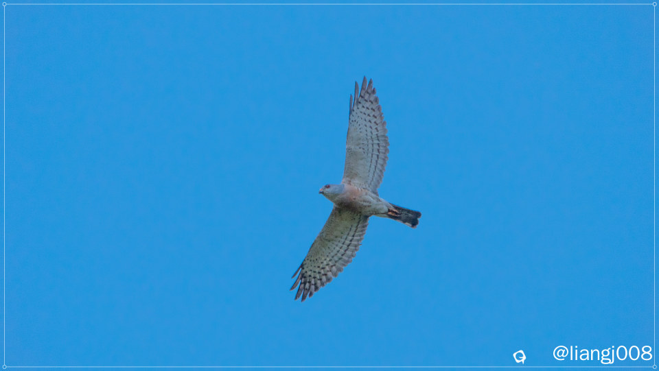 DSC00824_副本.jpg