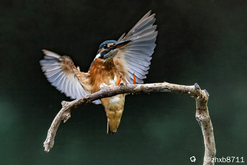 CW2A2943 拷贝副本-topaz-sharpen-denoise-topaz-color.jpg