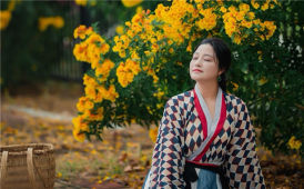 橙钟花拍个古风看看