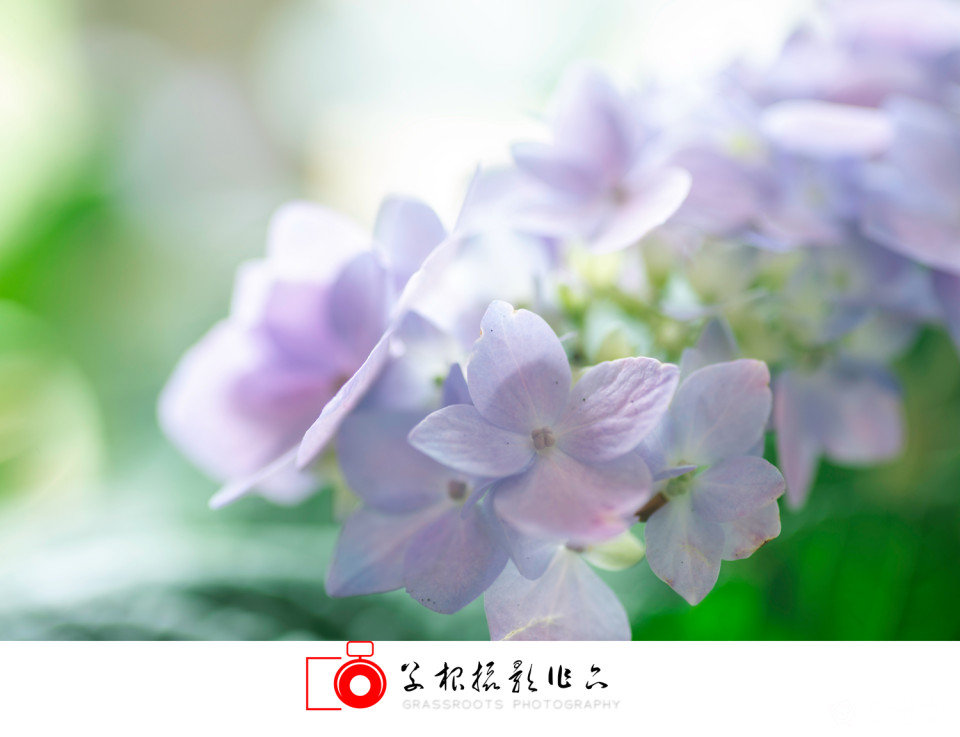_DSC7799 拷贝_副本.jpg