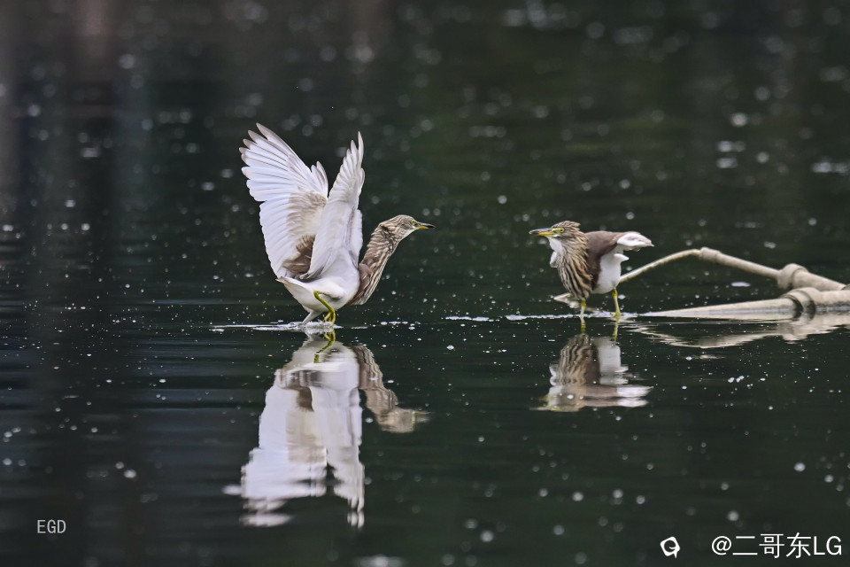 你瞅啥瞅你咋地 (2).jpg