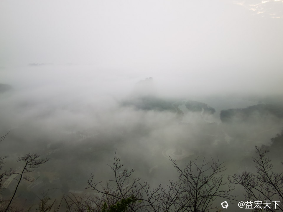 IMG_20240115_083931.jpg