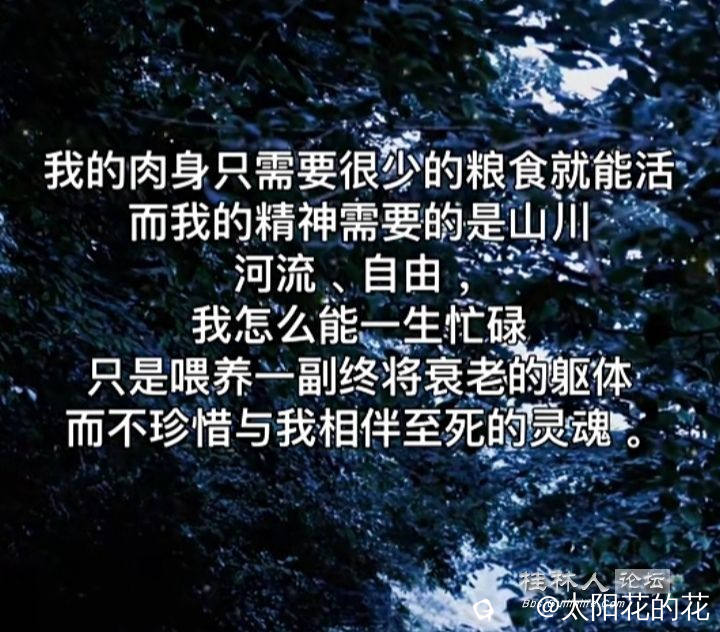 20251013090146front2_0_2265808_FqJ6TVmIBjdGi-7FTtYQbeDjvV8u.jpg