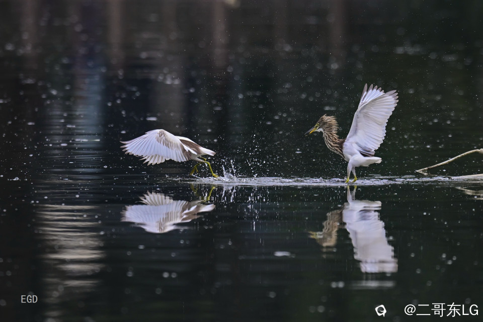 你瞅啥瞅你咋地 (11).jpg