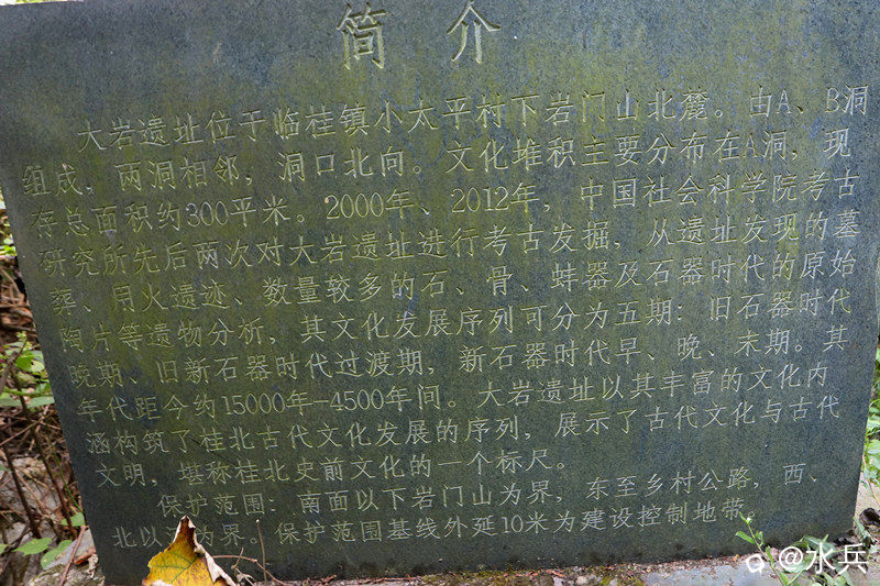 IMG_8603.JPG