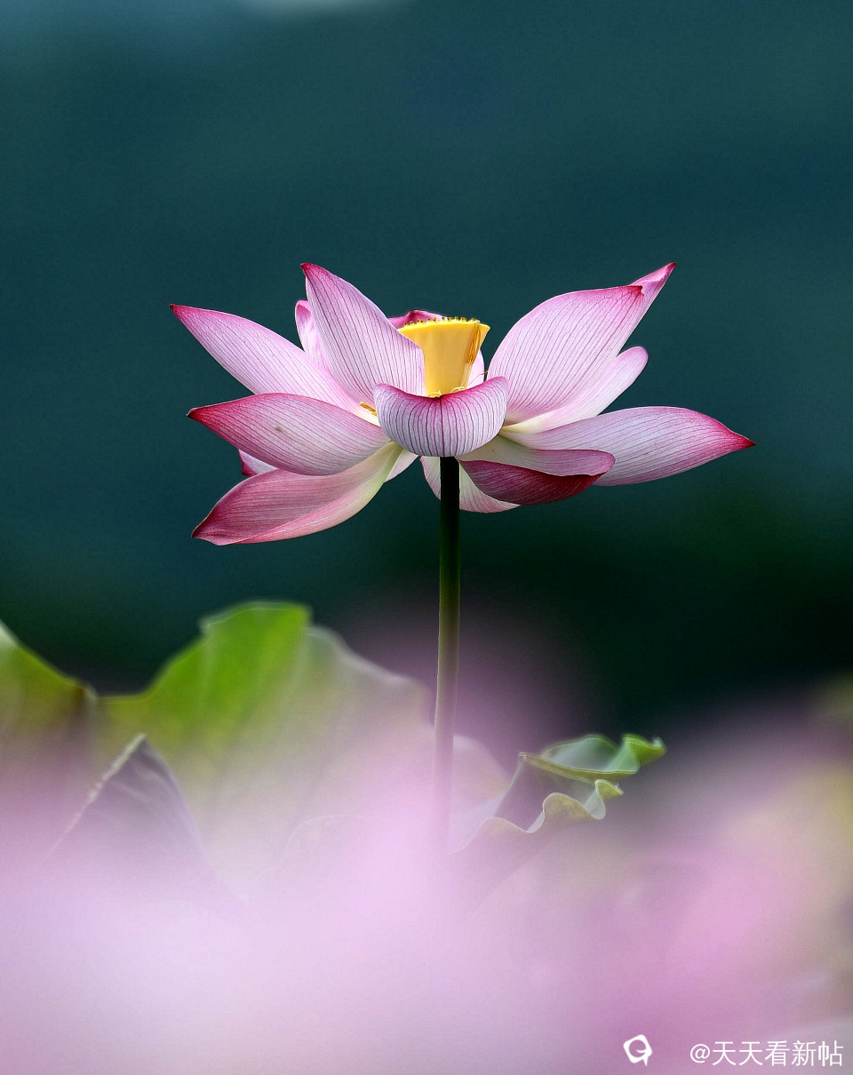 DSC_4609_副本.jpg