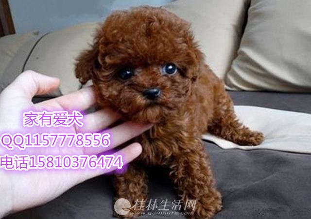 ̩�϶���Ǯ   ̩�Ϻ�����   ��������̩�ϵ���