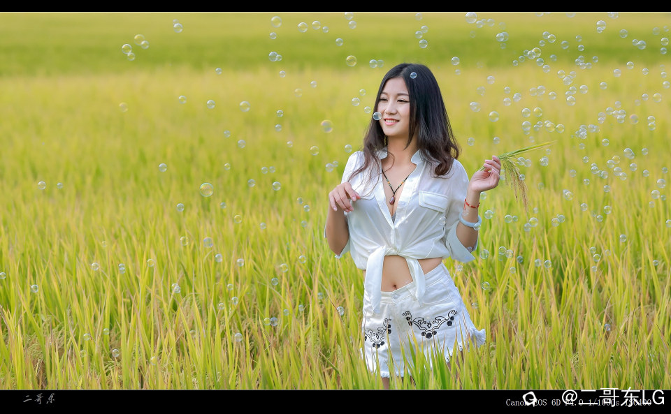 谷子熟了 (4).jpg