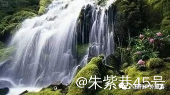 mmexport8785a5cde4839482ee890fd3cba17fda_1712018231107.jpeg