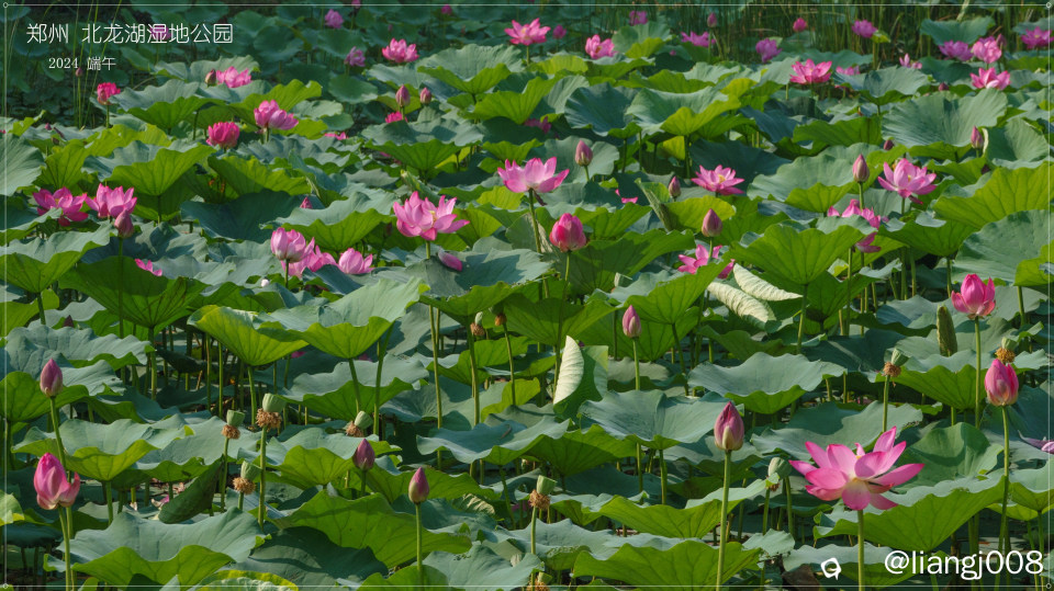 DSC05939_副本_副本.jpg