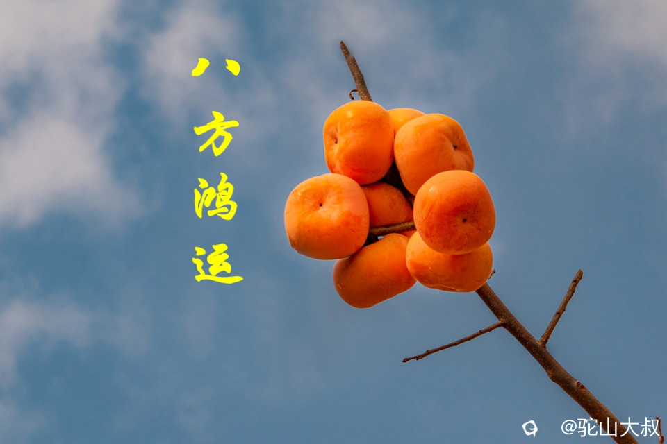DSC04568-0_副本.jpg