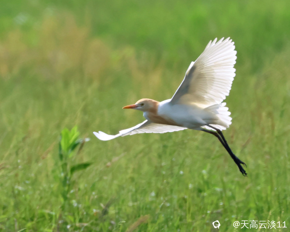 5D2A5809_副本.jpg