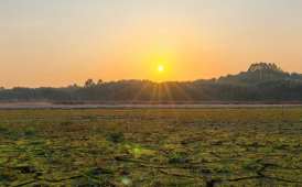 仲冬干涸鸭塘观落日